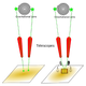 Illustration for article titled An experiment that might let us control events millions of years ago